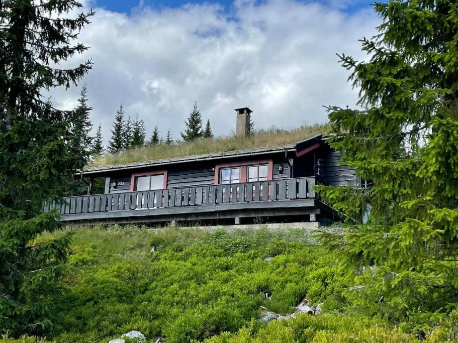 Centrally Located Cottage At Sjusjoen Ski Center Buitenkant foto