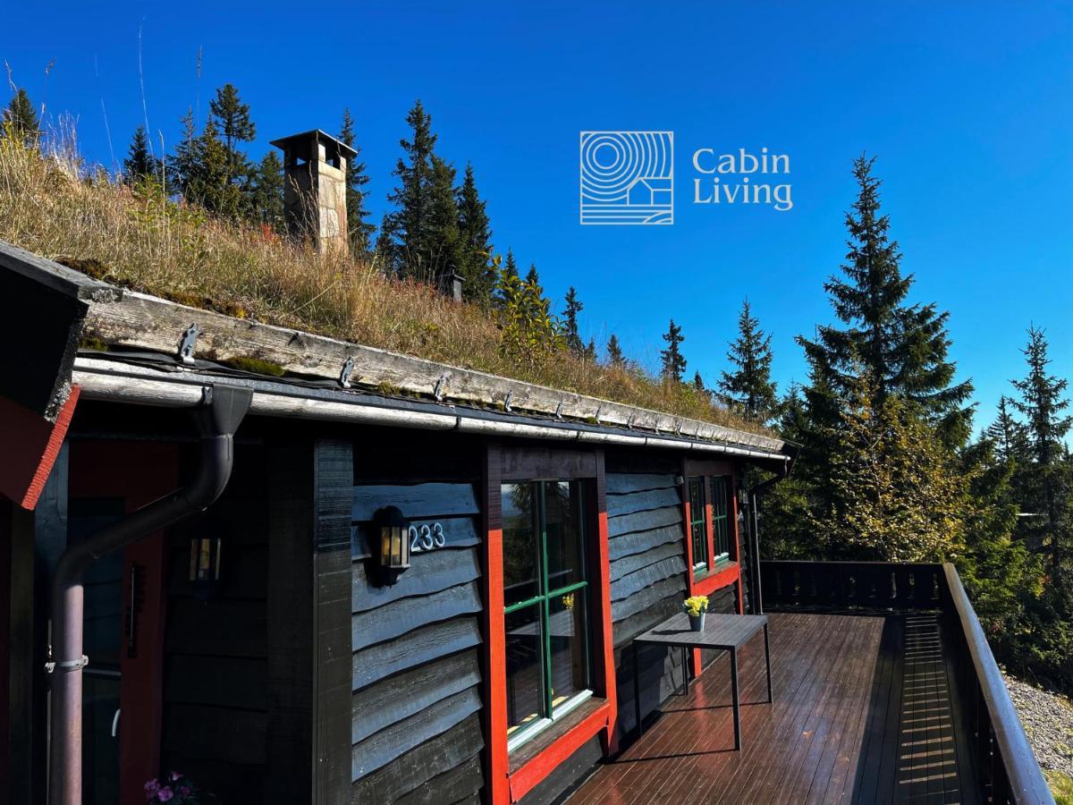 Centrally Located Cottage At Sjusjoen Ski Center Buitenkant foto